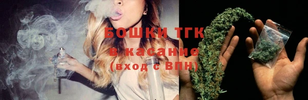 прущие грибы Абаза