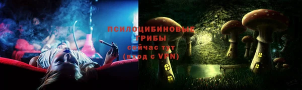 прущие грибы Абаза