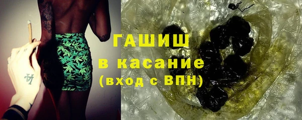 прущие грибы Абаза