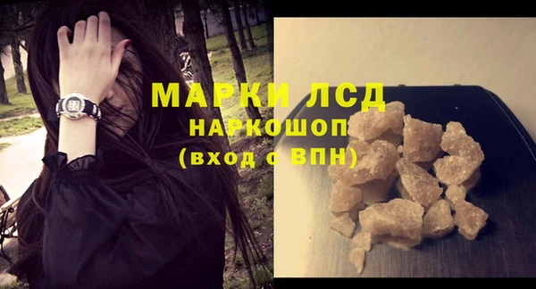 прущие грибы Абаза