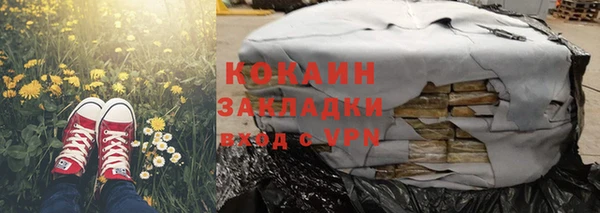 прущие грибы Абаза